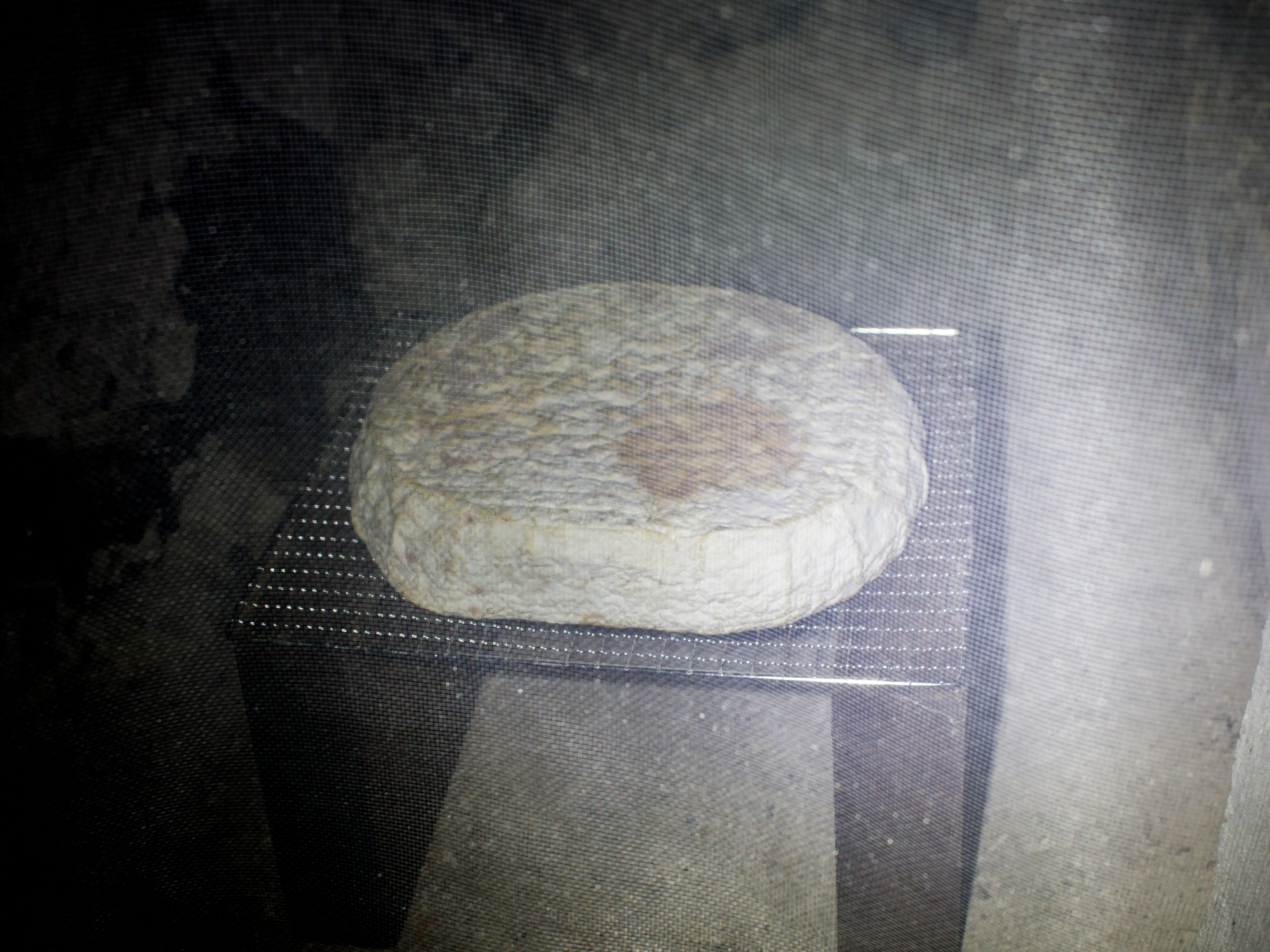 CMo-3-GM-3-GMo-4-CM-4_LivingSoilsMakeCheeseAlive.jpg