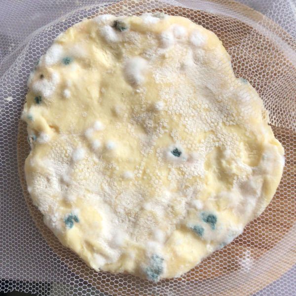 File:Asli-cheese-2.jpg