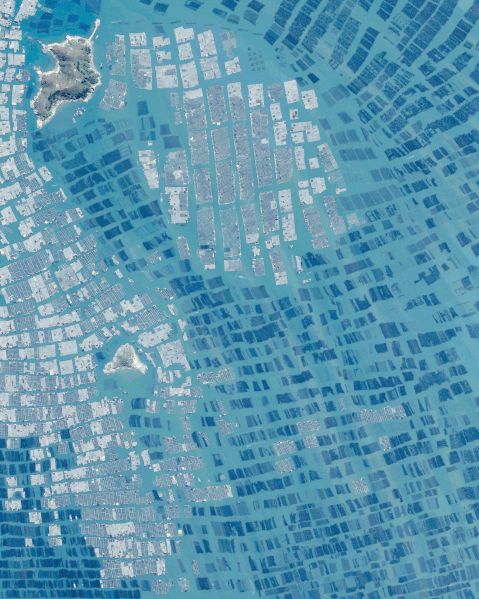 File:Seafoodfarm china.jpg