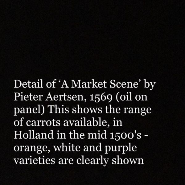 File:Orangecarrot4.jpg