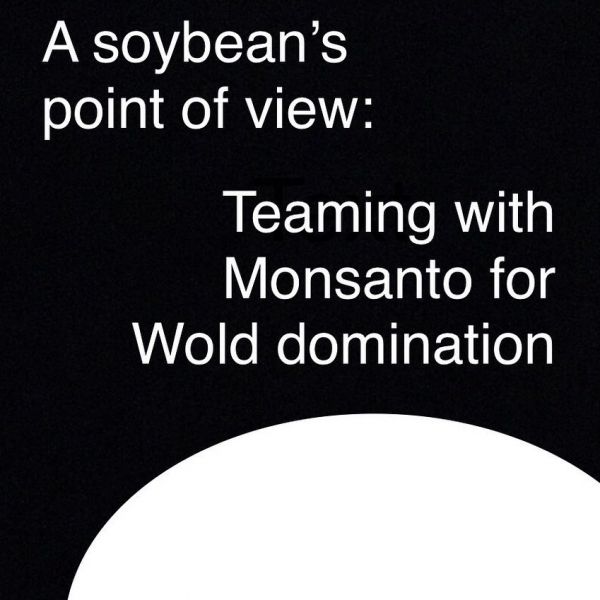 File:Monsanto1.jpg