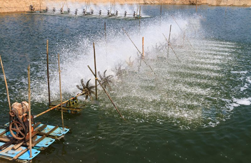 File:Aerationfishfarm.jpg