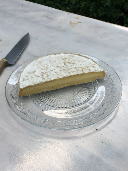 File:Organic-cow-4-cow-5d.jpg