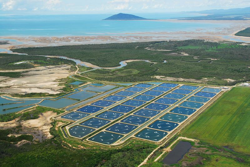 File:Fishfarm australia.jpg