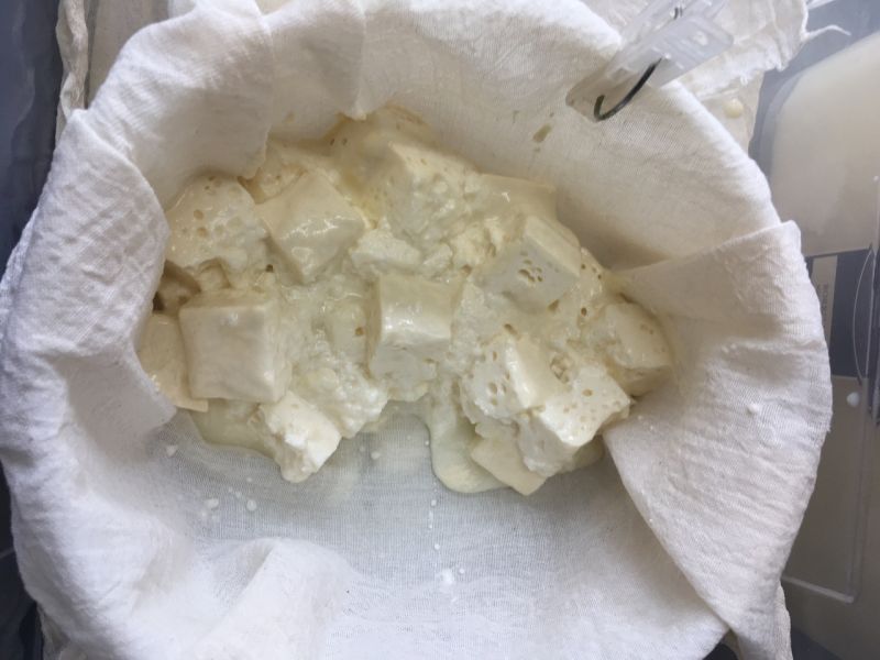 File:Goat-1b.jpg