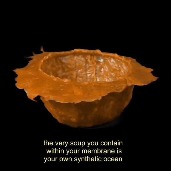 File:IPACC2021 the-container.jpg