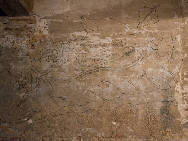 File:LandscapeSoilCheeseMe soil-fresco-macro-b.jpg