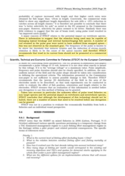 File:2006 report Europeeancomission Scientific-branch 1-month-before-permits.jpg