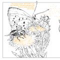 Pollinators-bees-composition-1b.jpg