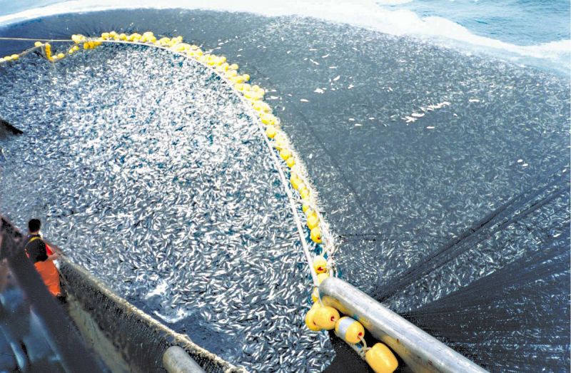 File:Overfishing.jpg