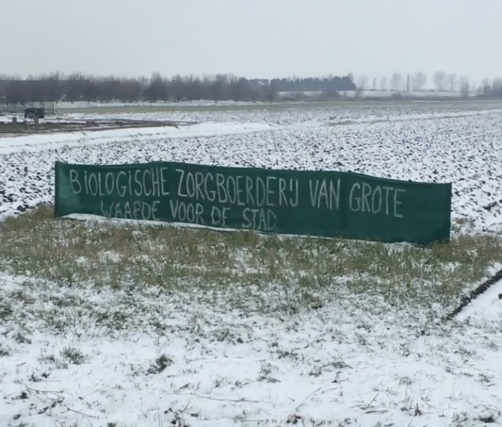 File:Boterbloem2.png
