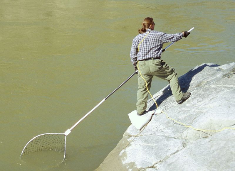 File:Handslamonfishing.jpg