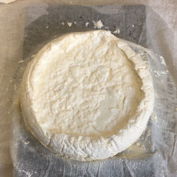 File:Organic-cow-1b.jpg
