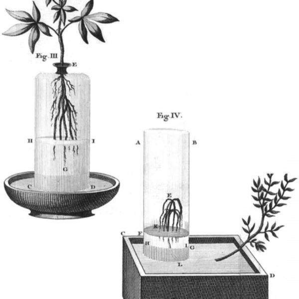 File:Carbon1.jpg