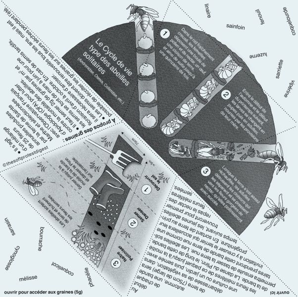 File:Carte SETU.jpg