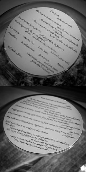 File:Cheese-poems.jpg
