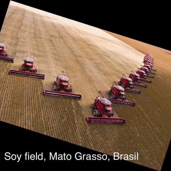 File:Monsanto2.jpg