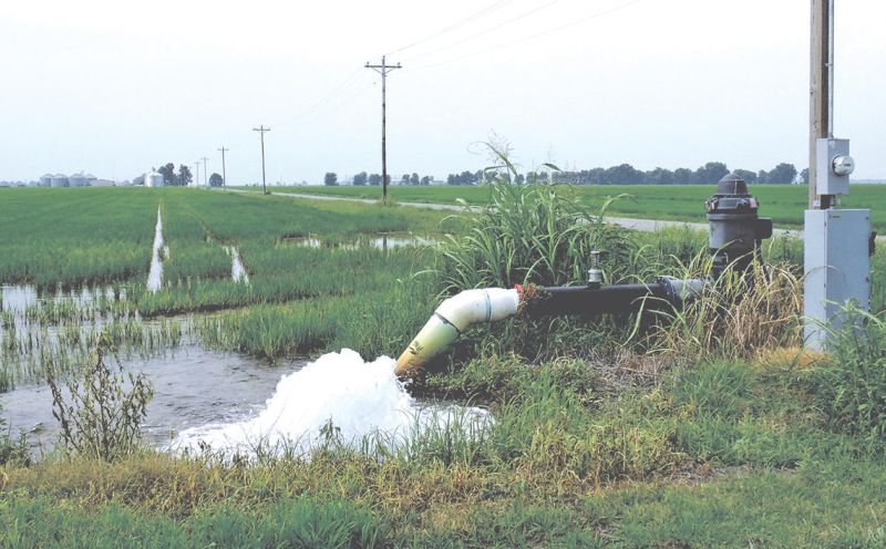 File:Rice-irrigation-groundwater-pumping USA.jpg