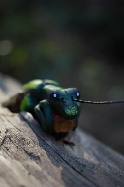 File:Oedemera-nobilis 3story.jpg