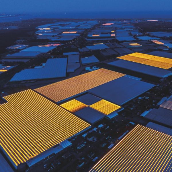 File:NL3.jpg