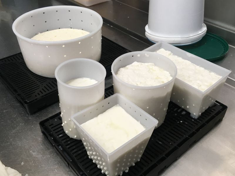 File:Organic-goat-1b.jpg
