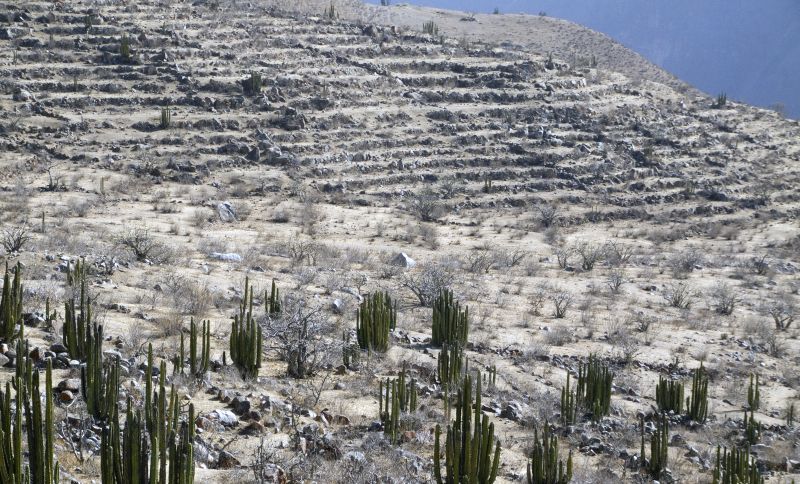 File:Pre-Hispanic-agriculture-irrigation Peru-Southern-Andes.jpg
