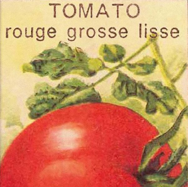 File:Tomato3.jpg