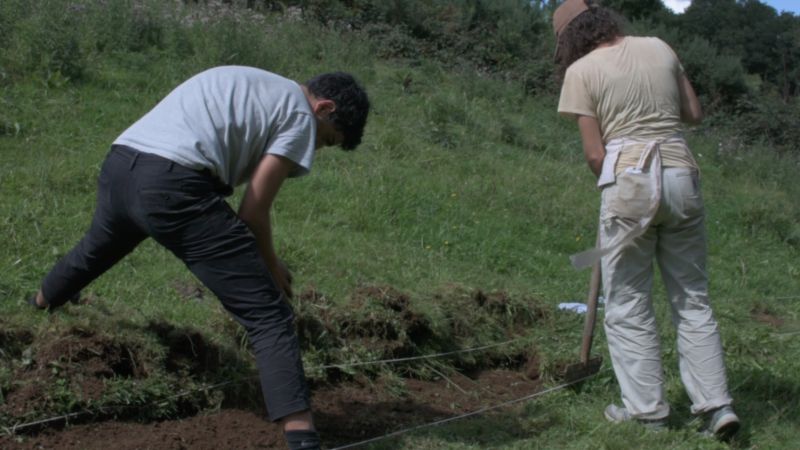 File:Digging the strip.jpg