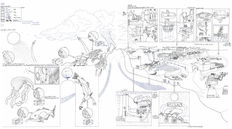 File:Headwaters-draft-scans-compilation.jpg